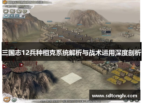 三国志12兵种相克系统解析与战术运用深度剖析 三国志12兵种相克系统解析与战术运用深度剖析